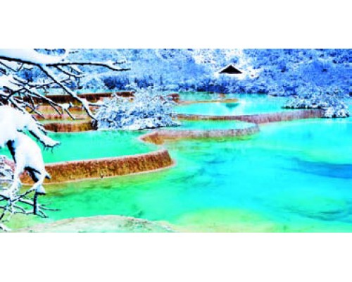 Desk Calendar DC14